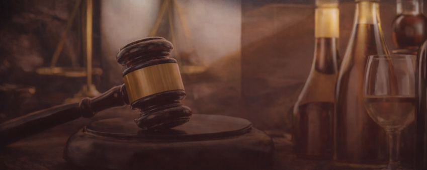 Delhi High Court Issues Key Ruling on Geographical Indication Rights